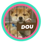 豆柴 ドウ