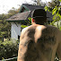 stQo5mM_yZA-channel-avatar-MattRobinJungleman