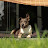 @goodtoxic2513 Avatar