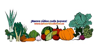 «La Huertina De Toni» youtube banner