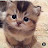 @NadaAbdin-y2j