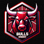 Bulls Digest