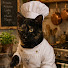 3nHDRUcLVUE-channel-avatar-Diggi_Diggsen