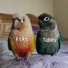 The RF Birds