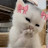 @انثى_رقيقهه