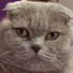 LlQ3SgWMvH0-channel-avatar-Rockerchick1