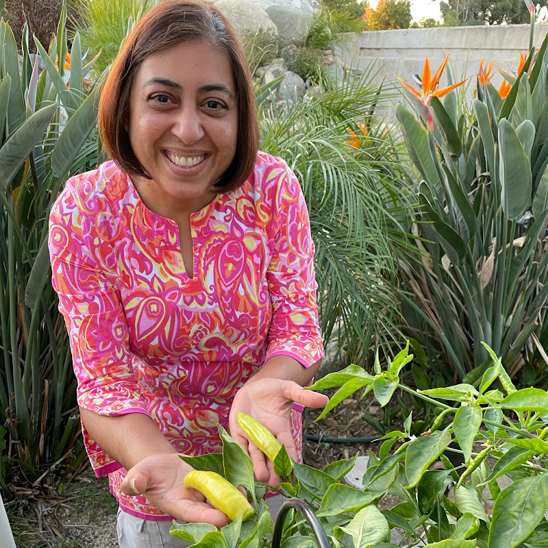 Priya’s Precious Plants