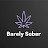 @WeBarelySober