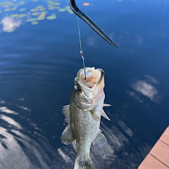 Florida_Fly_Tying
