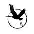 O5EROJGMNec-channel-avatar-Rising Crane