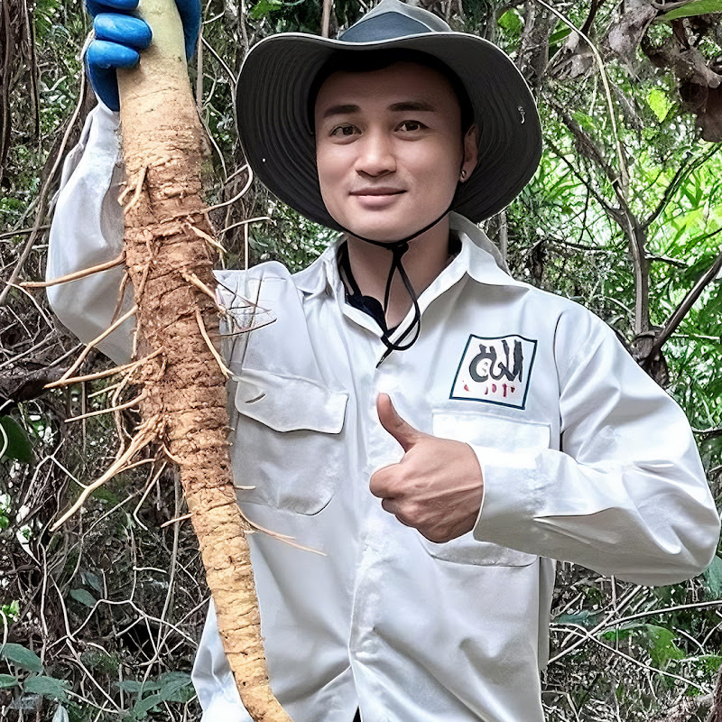 CÂY THUỐC QUANH TA