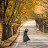 @Walk03