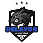 Pelayon Sports logo