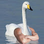 Mr Swan