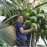 hhkkh-5j8MU-channel-avatar-Phương - Harvesting
