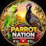 c6YGFivJjfo-channel-avatar-Parrot Nation 
