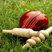 cricket best clips