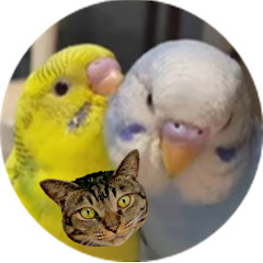 ソラリクまっしぐら　フィーネ+