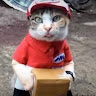 Автор