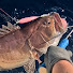 tJfC3zdMHpw-channel-avatar-海と、魚と。