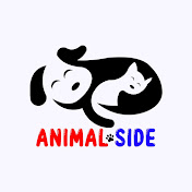 Animal Side