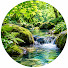 DBYH1NL2Z8o-channel-avatar-YASURAGI JAPAN
