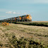 R6LNB3jSmcU-channel-avatar-The Silos at Happy