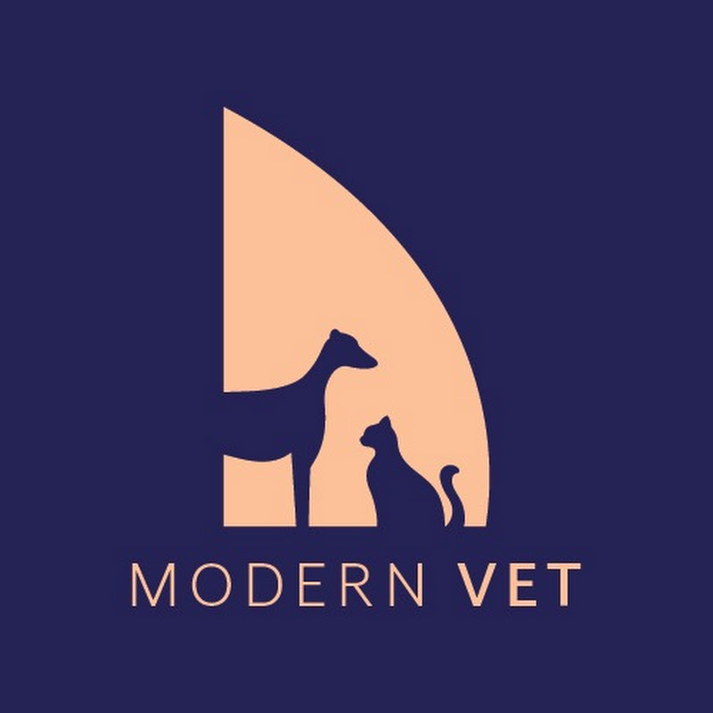 Modern Vet