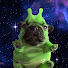 0D6iOEWYi44-channel-avatar-monkeyin