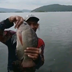 QFISHING