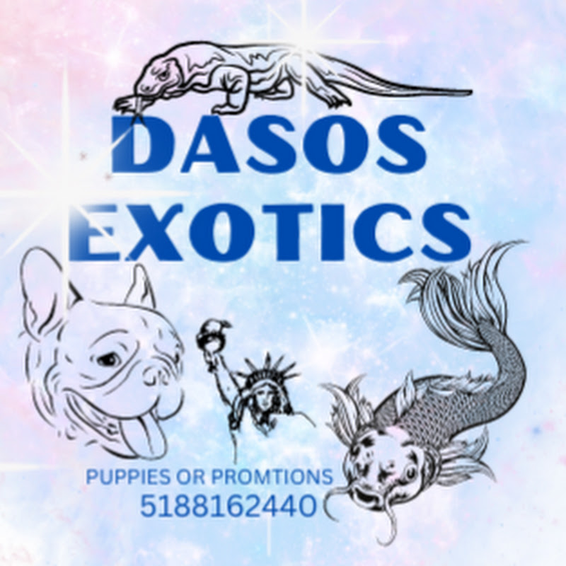 Daso's Exotics