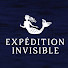 uAoa2JywxBA-channel-avatar-Expédition Invisible 
