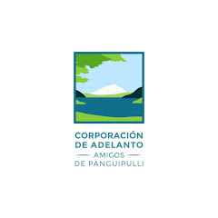 Comunicaciones Amigos de Panguipulli