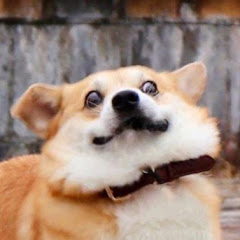 世界中を騒がせている