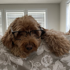 Sacha the Doodle 