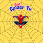 Red Spider Tv logo
