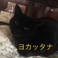 オルヤン　ORUYANアイコン画像