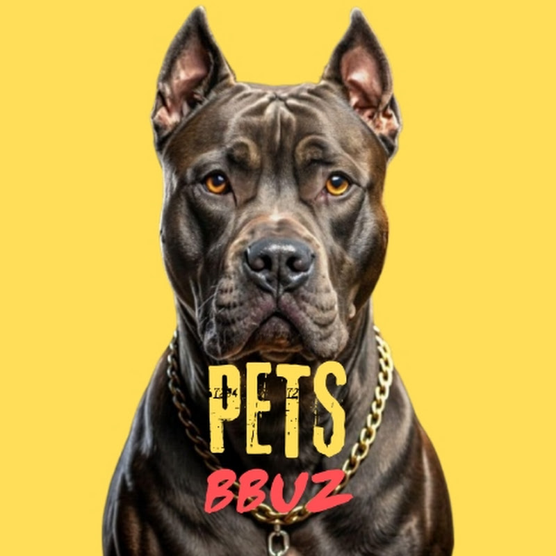 PETS BBUZ
