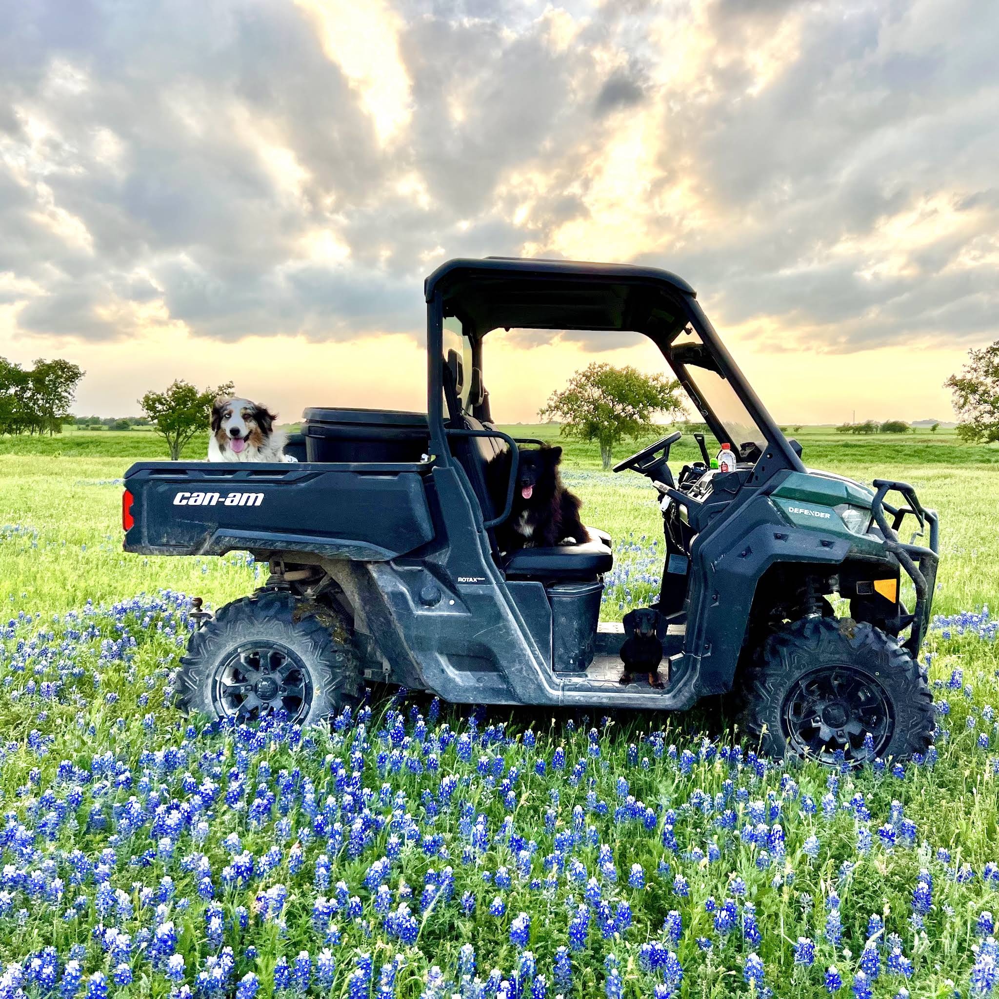 Post from Bar 7 Ranch