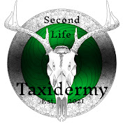 Second Life Taxidermy
