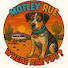 SqZO0LLajZY-channel-avatar-Motley Rue, Where are you?