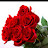 @barzankhorshidsawar1979