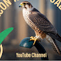 Falcon tamilan uae 360 logo
