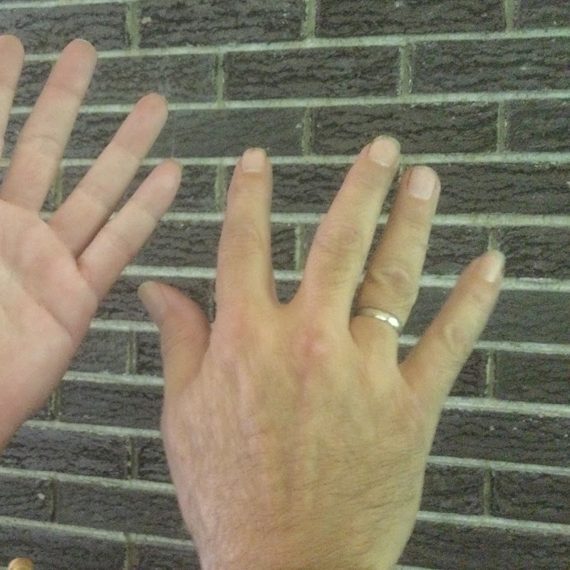 2 Left Hands