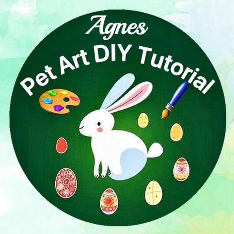 Agnes🐰Pet Art🎨 DIY Tutorial