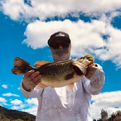 Big Belly Bassin