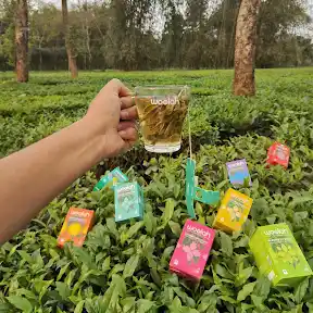 Woolah Tea YouTube channel