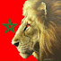 is9oLv7eXEI-channel-avatar-الكره مع ماجد