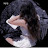 @سحرالجاسم-ث6ه
