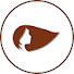 3mjFqXv9CkA-channel-avatar-Amor e padrões mentais and Química das Almas